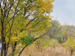 -玉渡山自然风景区