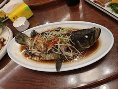 -老都一处饺子馆(道里店)