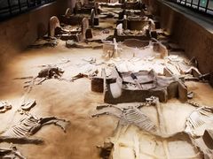 -洛阳周王城天子驾六博物馆