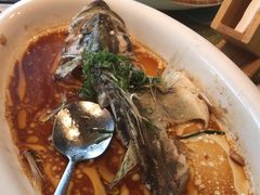 -陶缘一号·四季缘·老字号顺德菜·户外婚礼家宴(西滘店)