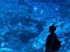-湾景餐厅(海洋公园店)