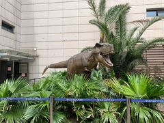 -湖南省地质博物馆