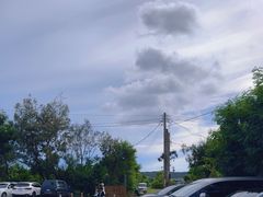 -鹿境梅花鹿生态园区