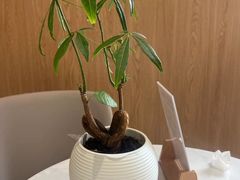 -XPEL旗舰店·汽车贴膜·隐形车衣·改色贴膜