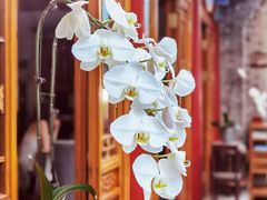 -北京古城老院厉晓麟精致菜