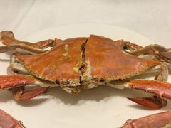 -北塘海鲜·天津菜(大光明桥旗舰店)