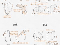 -学知乐教育·幼小衔接·小学科辅导(浦东外高桥森兰中心)