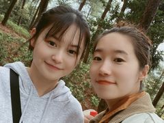 -铁山坪森林公园