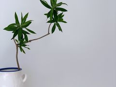 -AHAVA·Fang Baking Studio