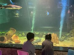 -嘉兴海底世界