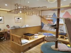 -滚猫咖啡·猫咖·猫友好撸猫(未来城店)
