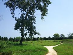 -汉长安城未央宫国家考古遗址公园