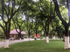 -昆山城市生态森林公园