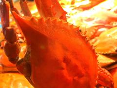 -青岛海泉湾皇冠假日度假酒店