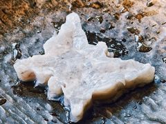 -羊大爷涮肉(亮马桥总店)