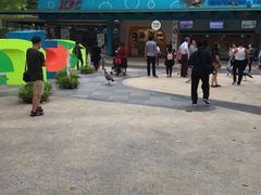 -新加坡水上探险乐园