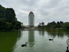 -厦门大学(思明校区)