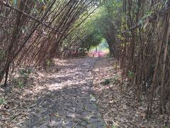 -白塘生态植物园