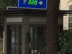 -上海外滩茂悦大酒店
