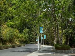 -孔雀湖生态旅游区