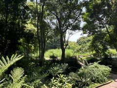 -成都市活水公园