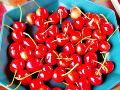 -亲兄弟真人CS团建拓展基地