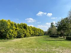 -白鹭湾湿地公园