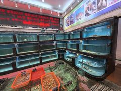 -天天海鲜城·海鲜大排档(新溪店)