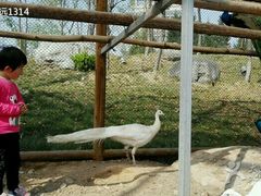 android_upload_pic-西安世博园