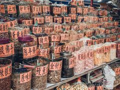 -大湾区中央湿地公园-十九涌