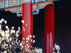 -阳澄湖半岛旅游度假区
