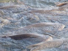 -南京金牛湖风景区
