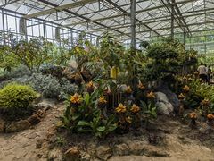 -南通洲际绿博园