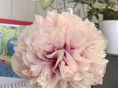 -南京大个子龙虾精菜馆