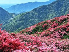 -木兰云雾山