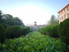 -四川大学(华西校区)