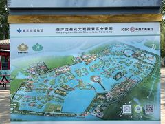 -荷花大观园