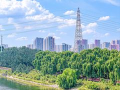 -长白岛森林公园