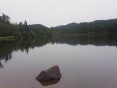 -五营红松林海景区