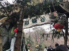 -天目湖山水园