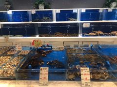 水产区-宝轩渔府·老字号海鲜·正宗津菜(水上店)