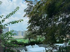 -许家菜.艺创菜(仁和新城店)