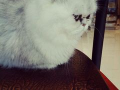 -Oh My Dog宠物沙龙(伊珊娜皮毛护理店)