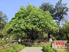 -昆山城市生态森林公园