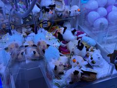 -海底捞大排档火锅(打浦路店)