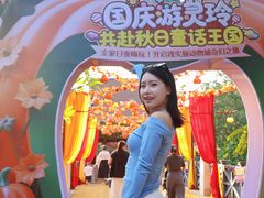-灵玲国际马戏城
