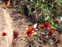 -永定河休闲森林公园