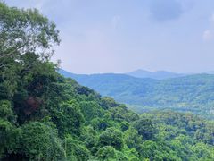 -广州市帽峰山景区