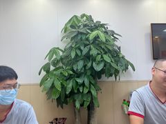 -郑远元·修脚·足道(华茂苑店)