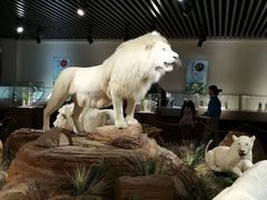 -陕西自然博物馆